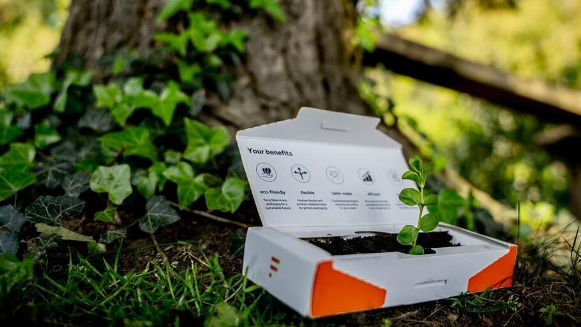 [Translate to English:] 