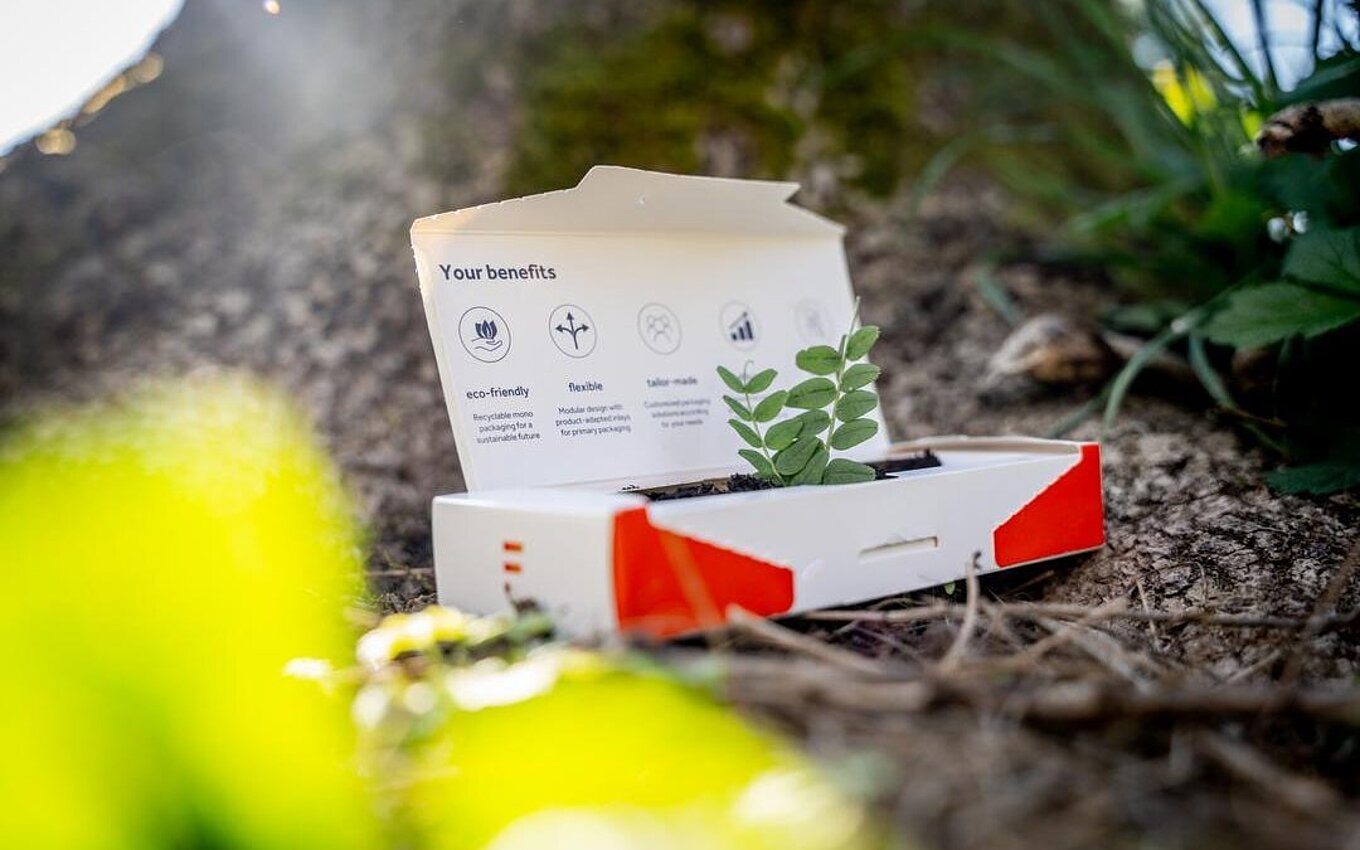Sustainable packaging by Faller Packaging – eco-friendly folding carton with all-paper solution for the pharmaceutical industry.