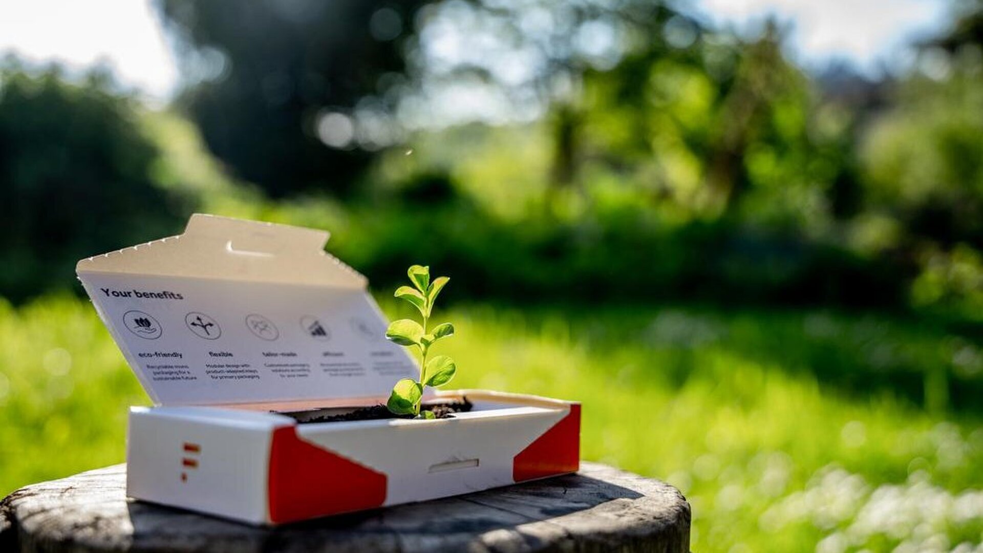 Nachhaltige Faltschachtel von Faller Packaging