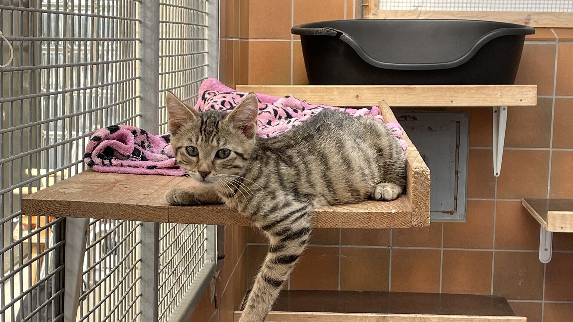 [Translate to English:] 