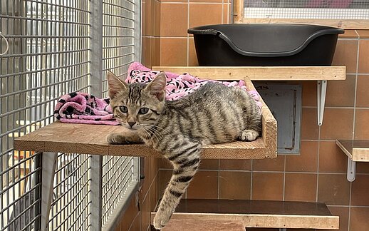 [Translate to English:] 